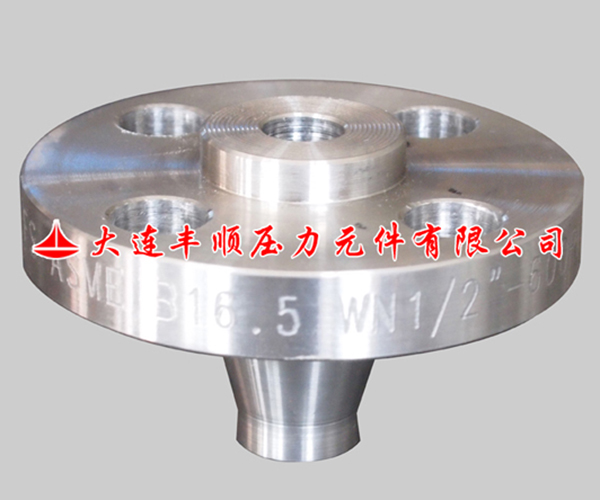 1557285802223034.jpg 帶頸(jing)對焊法蘭(lán).jpg