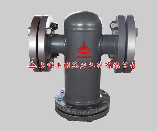 1557294311156852.jpg 氨液過(guò)濾器.jpg